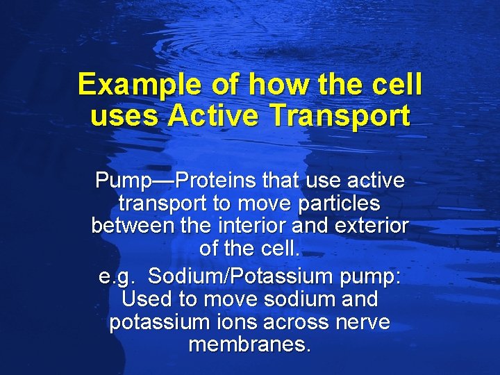 Slide 78 Example of how the cell uses Active Transport Pump—Proteins that use active