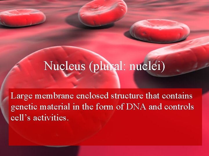 Nucleus (plural: nuclei) Large membrane enclosed structure that contains genetic material in the form