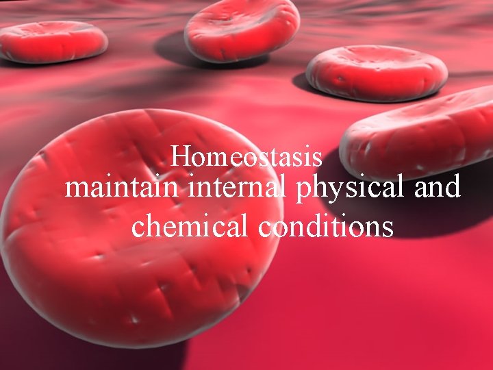 Homeostasis maintain internal physical and chemical conditions 