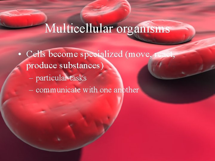 Multicellular organisms • Cells become specialized (move, react, produce substances) – particular tasks –