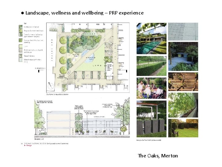 ● Landscape, wellness and wellbeing – PRP experience The Oaks, Merton 