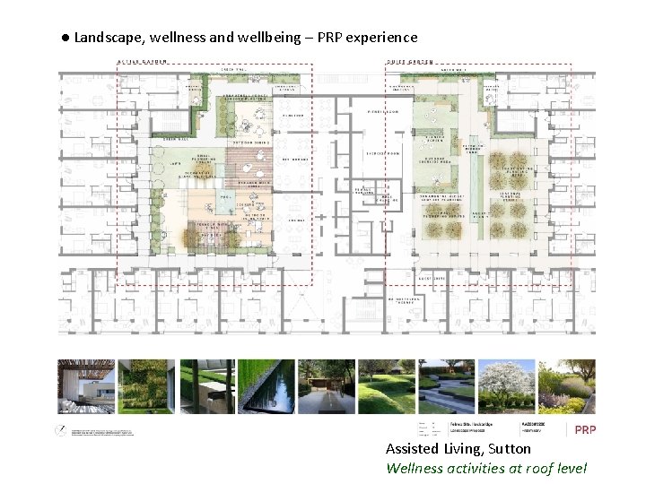 ● Landscape, wellness and wellbeing – PRP experience Assisted Living, Sutton Wellness activities at