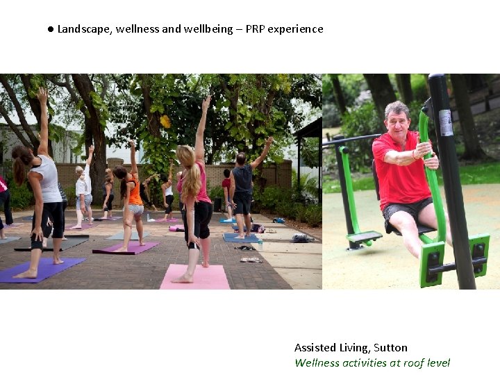 ● Landscape, wellness and wellbeing – PRP experience Assisted Living, Sutton Wellness activities at