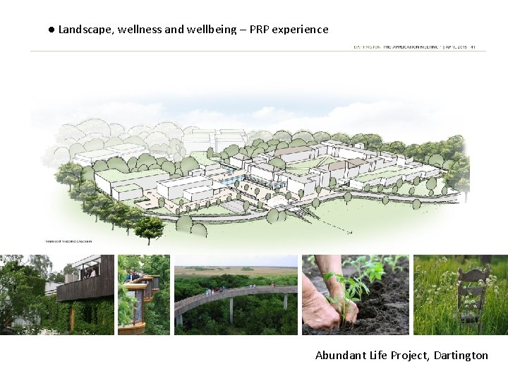 ● Landscape, wellness and wellbeing – PRP experience Abundant Life Project, Dartington 