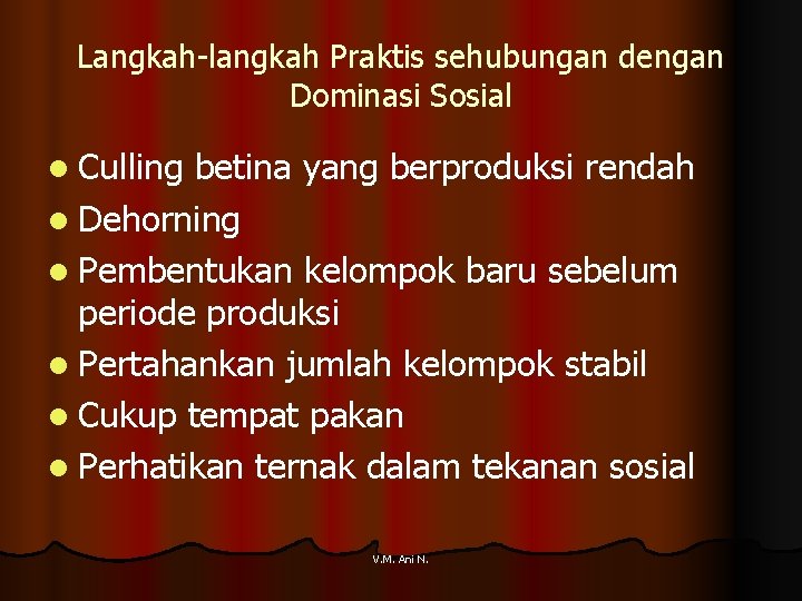 Langkah-langkah Praktis sehubungan dengan Dominasi Sosial l Culling betina yang berproduksi rendah l Dehorning