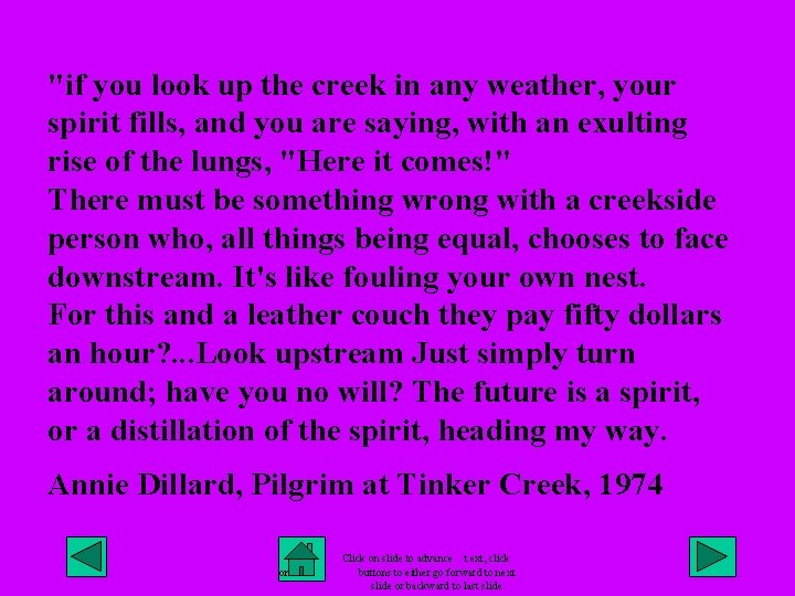 "if you look up the creek in any weather, your spirit fills, and you