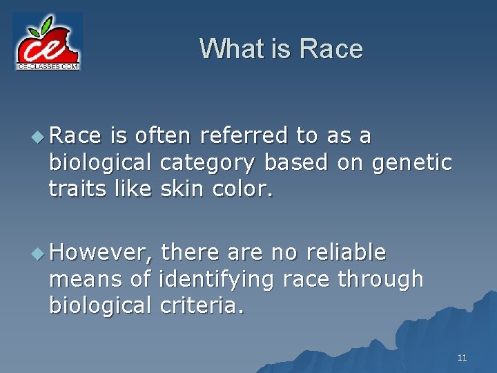 What is Race u Race is often referred to as a biological category based