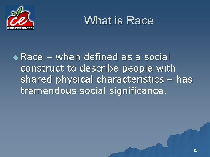 What is Race u Race – when defined as a social construct to describe