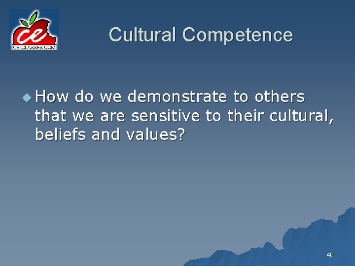 Cultural Competence u How do we demonstrate to others that we are sensitive to