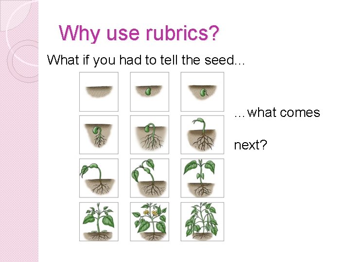 Why use rubrics? What if you had to tell the seed… …what comes next?