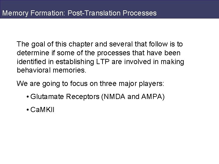 Memory Formation: Post-Translation Processes The goal of this chapter and several that follow is