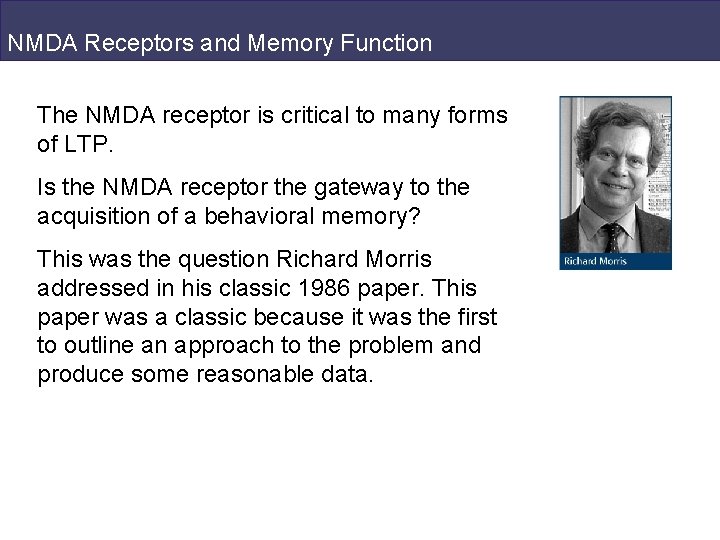 NMDA Receptors and Memory Function The NMDA receptor is critical to many forms of