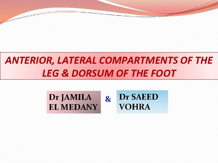 ANTERIOR, LATERAL COMPARTMENTS OF THE LEG & DORSUM OF THE FOOT Dr JAMILA &