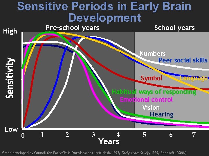Sensitive Periods in Early Brain Development Pre-school years High School years Numbers Peer social