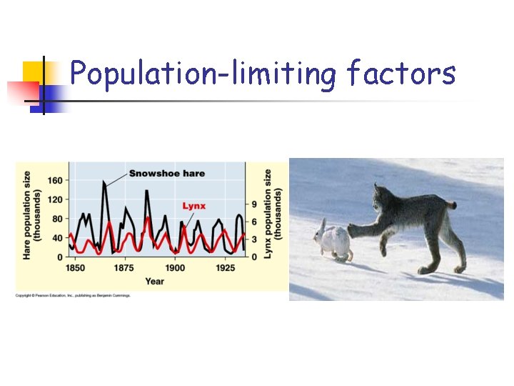 Population-limiting factors Population-limiting factors