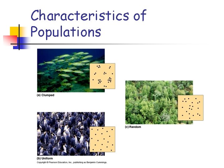 Characteristics of Populations 