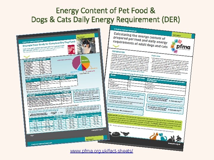 Energy Content of Pet Food & Dogs & Cats Daily Energy Requirement (DER) www.