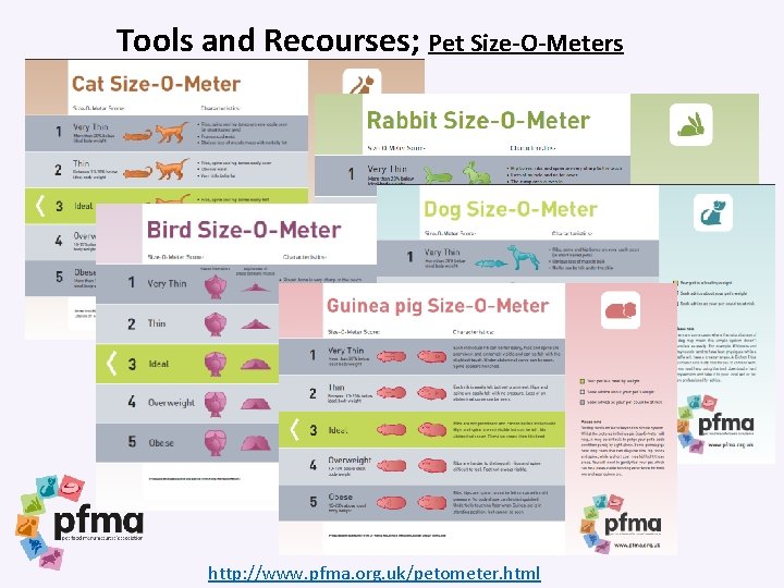 Tools and Recourses; Pet Size-O-Meters http: //www. pfma. org. uk/petometer. html 