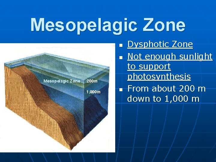 Mesopelagic Zone n n Mesopelagic Zone 200 m 1, 000 m n Dysphotic Zone