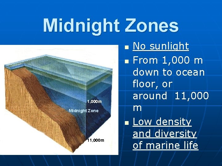 Midnight Zones n n 1, 000 m Midnight Zone n 11, 000 m No