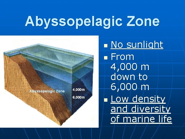 Abyssopelagic Zone No sunlight n From 4, 000 m down to 6, 000 m