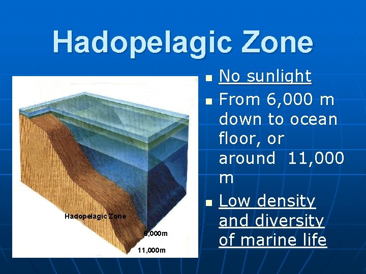 Hadopelagic Zone n n n Hadopelagic Zone 6, 000 m 11, 000 m No