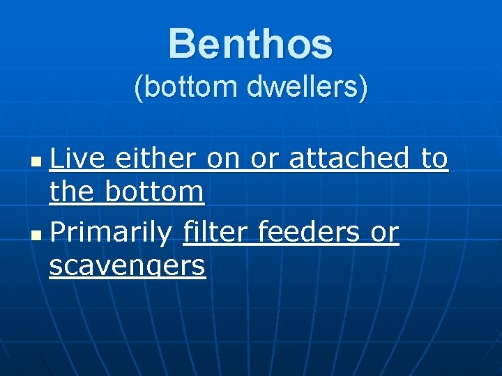 Benthos (bottom dwellers) Live either on or attached to the bottom n Primarily filter