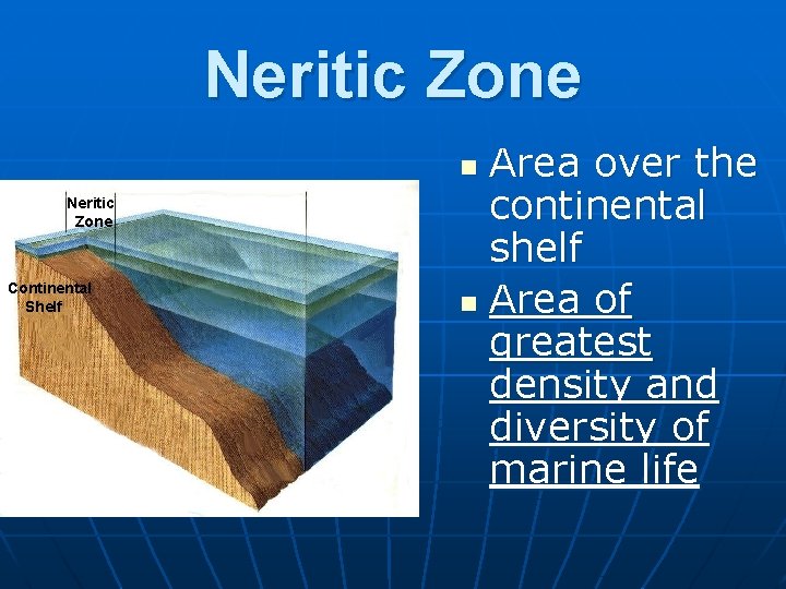 Neritic Zone Area over the continental shelf n Area of greatest density and diversity