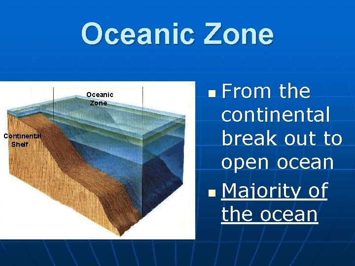 Oceanic Zone Continental Shelf From the continental break out to open ocean n Majority