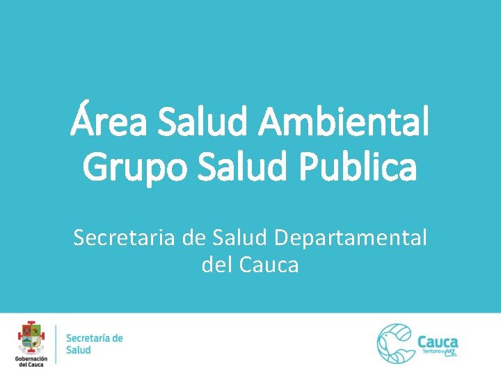 Área Salud Ambiental Grupo Salud Publica Secretaria de Salud Departamental del Cauca 