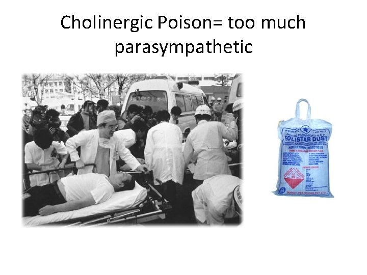Cholinergic Poison= too much parasympathetic Cholinergic Poison= too much parasympathetic