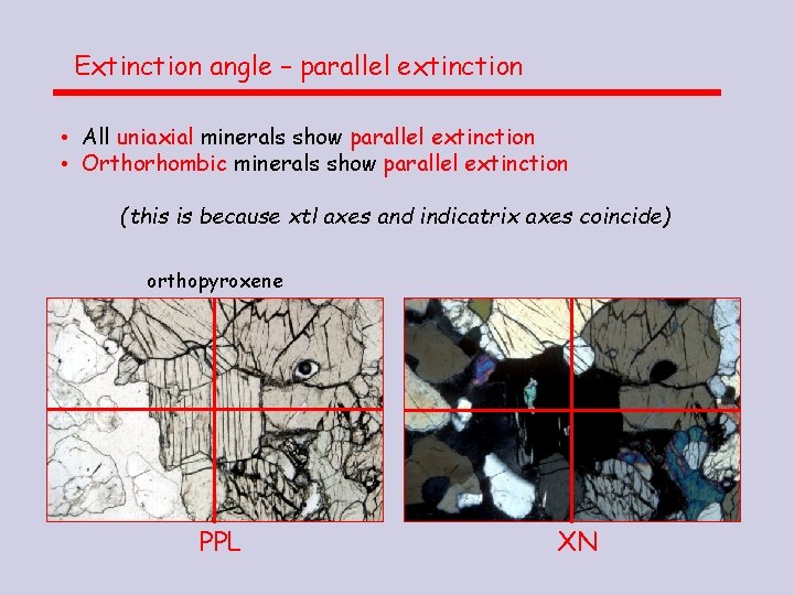 Extinction angle – parallel extinction • All uniaxial minerals show parallel extinction • Orthorhombic Extinction angle – parallel extinction • All uniaxial minerals show parallel extinction • Orthorhombic