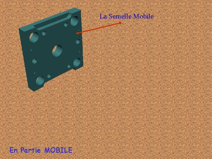 La Semelle Mobile En Partie MOBILE 