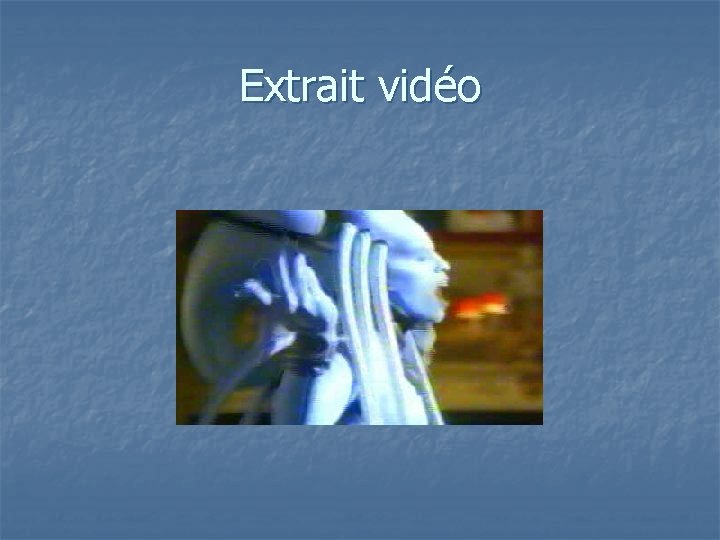 Extrait vidéo 