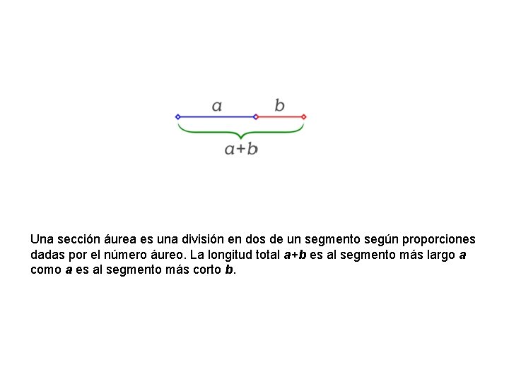 Una sección áurea es una división en dos de un segmento según proporciones dadas