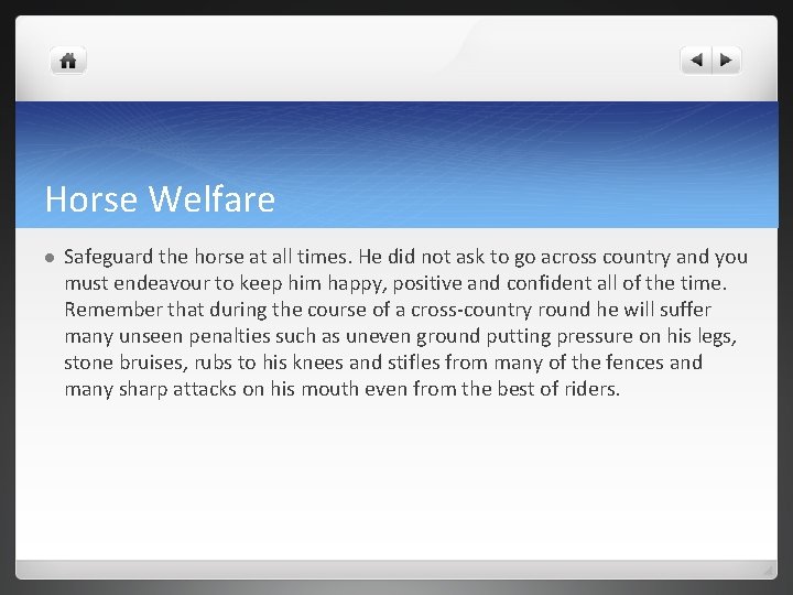 Horse Welfare l Safeguard the horse at all times. He did not ask to