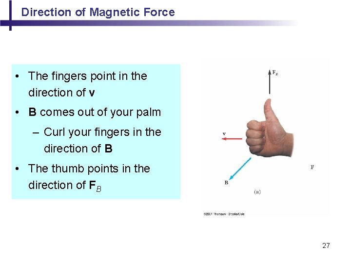 Direction of Magnetic Force • The fingers point in the direction of v •