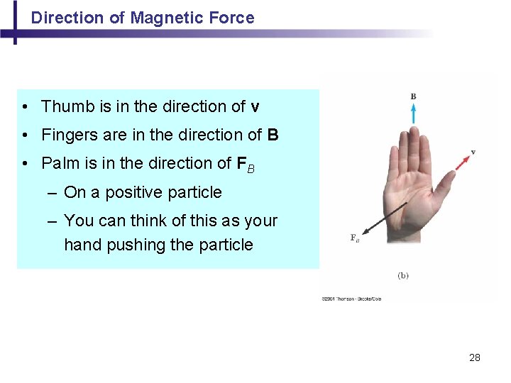 Direction of Magnetic Force • Thumb is in the direction of v • Fingers