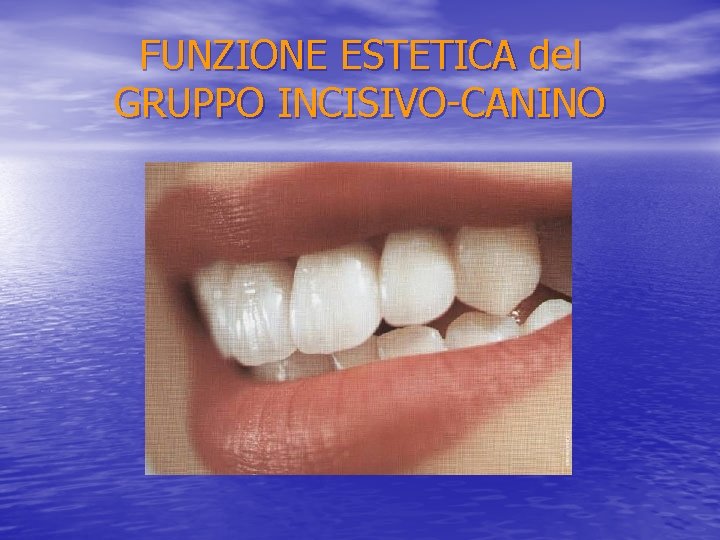 FUNZIONE ESTETICA del GRUPPO INCISIVO-CANINO 