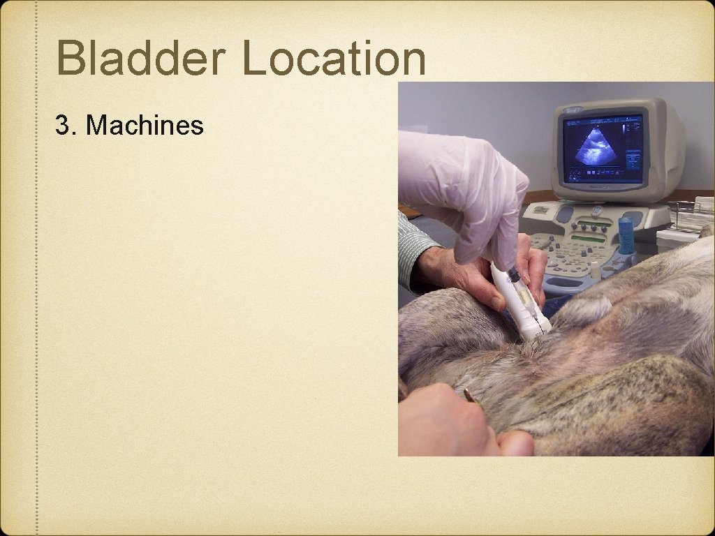 Bladder Location 3. Machines 