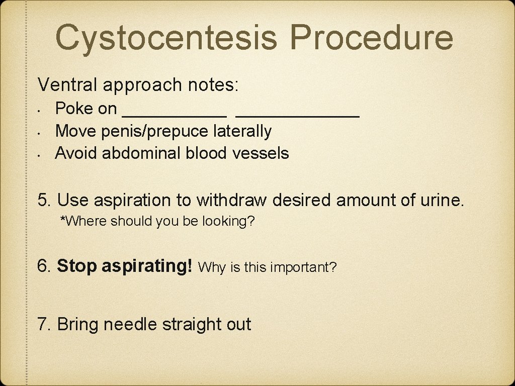 Cystocentesis Procedure Ventral approach notes: • • • Poke on _____________ Move penis/prepuce laterally