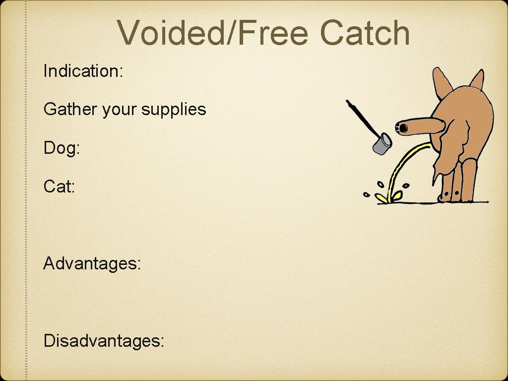 Voided/Free Catch Indication: Gather your supplies Dog: Cat: Advantages: Disadvantages: 