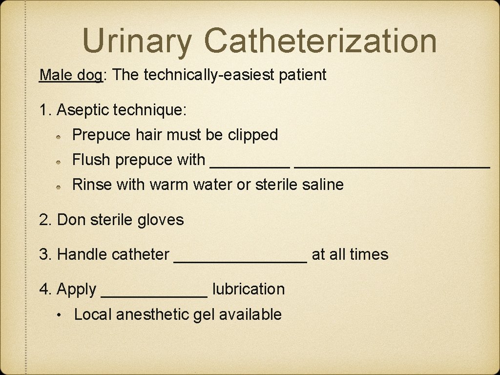 Urinary Catheterization Male dog: The technically-easiest patient 1. Aseptic technique: Prepuce hair must be