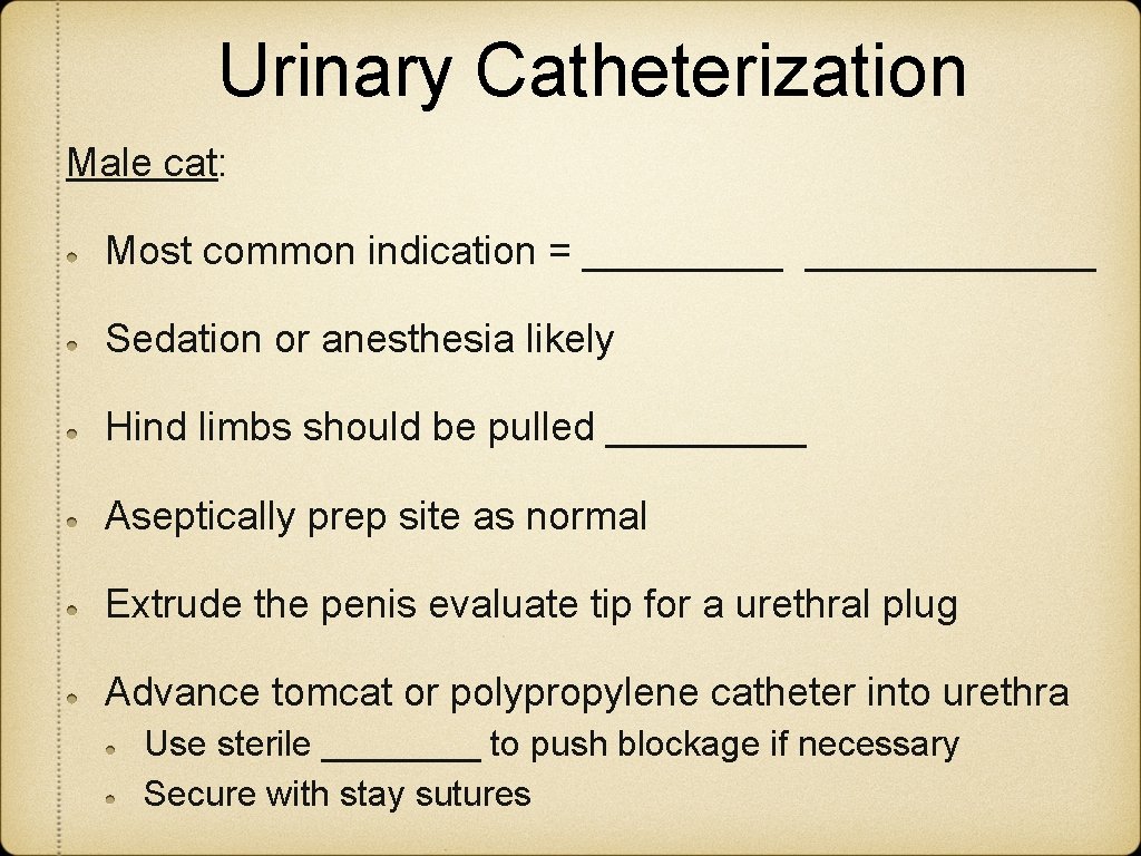 Urinary Catheterization Male cat: Most common indication = _____________ Sedation or anesthesia likely Hind