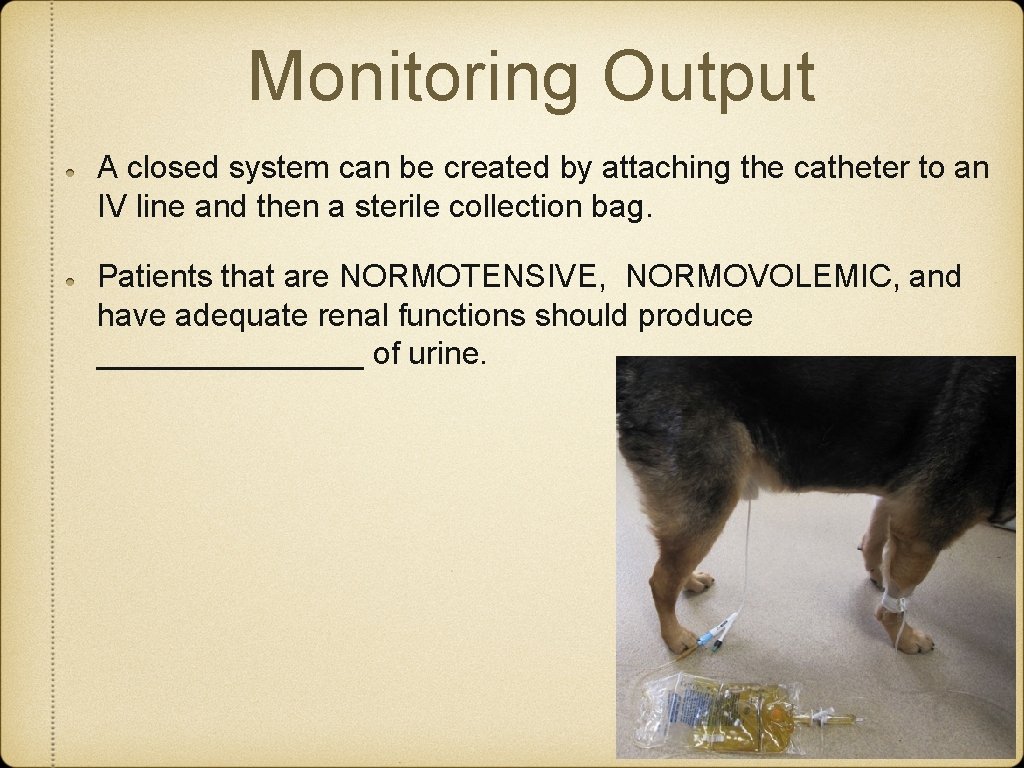 Monitoring Output A closed system can be created by attaching the catheter to an