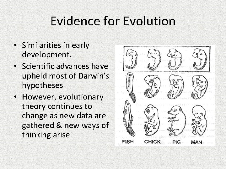 Evidence for Evolution • Similarities in early development. • Scientific advances have upheld most