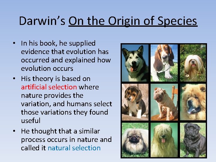 Darwin’s On the Origin of Species • In his book, he supplied evidence that