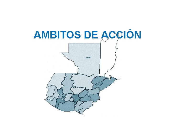 AMBITOS DE ACCIÓN 