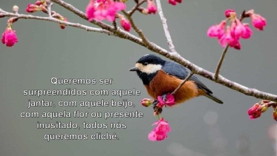 Queremos ser surpreendidos com aquele jantar, com aquele beijo, com aquela flor ou presente Queremos ser surpreendidos com aquele jantar, com aquele beijo, com aquela flor ou presente