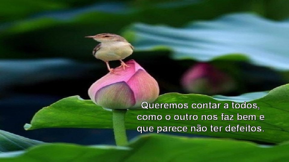 Queremos contar a todos, como o outro nos faz bem e que parece não Queremos contar a todos, como o outro nos faz bem e que parece não
